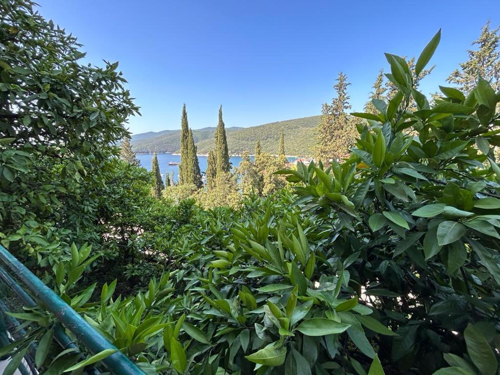 Apartment Near The Sea 650 Rabac Esterno foto