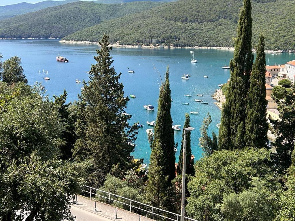 Apartment Near The Sea 650 Rabac Esterno foto
